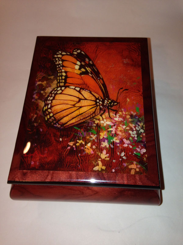 305 - Monarch Butterfly by Simon Bull